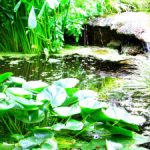 fleuve-tranquille-zen-eau-respiration