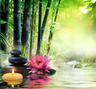 Nature zen de bambou avec méditation spirituelle et naturelle