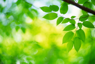 Méditation spirituelle pour la conscience au soleil