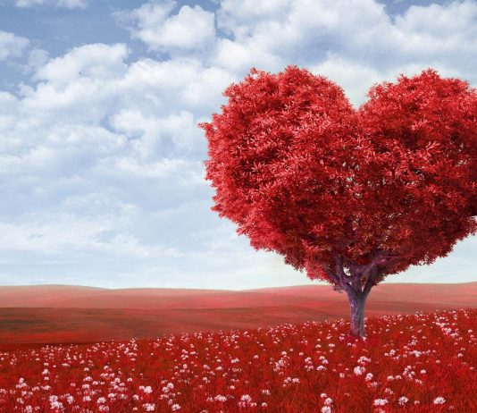 L'amour n'est pas la pensée.