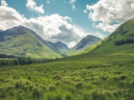 La méditation synonyme de liberté dans la solitude